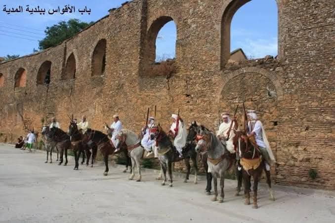 WhatsApp Image 2025-07-30 à 16.08.13_3c077b3f